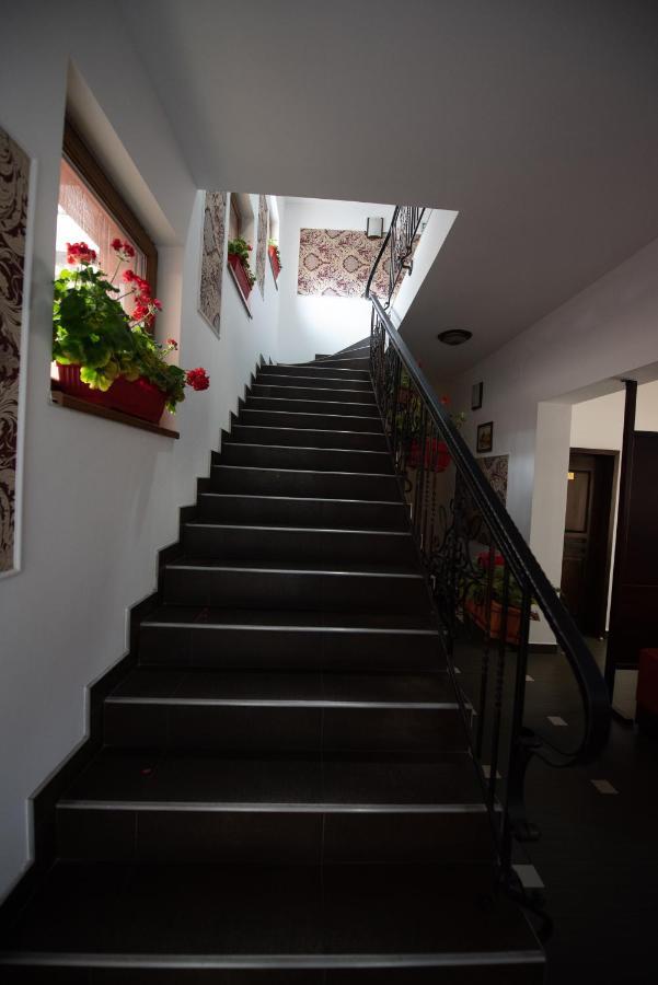 Pension Arena Cluj-Napoca Esterno foto